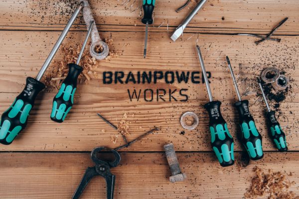 BRAINPOWER GROUP - BRAINPOWER WORKS